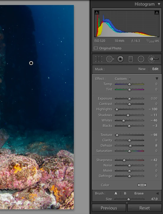 adobe, lightroom, joanna lentini, backscatter