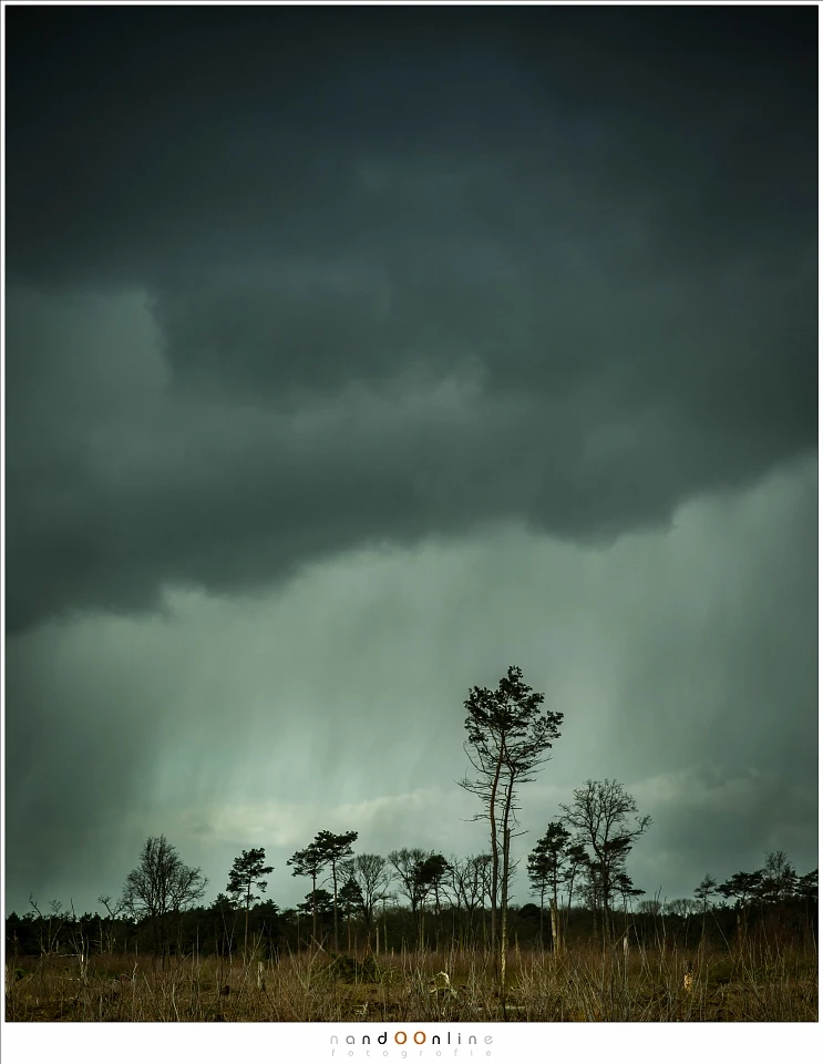 When the light is right, you can actually see the falling rain. I kept my camera under my poncho, taking it out long enough to shoot this photo. (Canon EOS 5D3 + 65mm | ISO200 | f/3,2 | 1/1600)