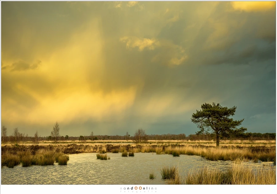Amazing light during sunset, with anti-crepuscular light rays opposite to the sun. The light is reflected in the rain clouds at the horizon. (Canon EOS 5D3 + 50mm | ISO200 | f/8 | 1/80)