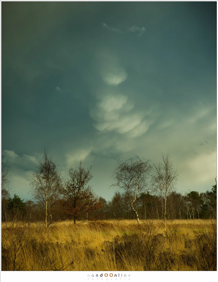 You might see amazing cloud formations, like these beginning mammatus clouds. These clouds can take amazing forms. (Canon EOS 5D3 + 70mm | ISO100 | f/8 | 1/200)