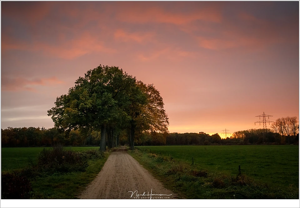 It was raining all day, but during sunset the sky became orange for just a few minutes. Since I did not have my tripod with me, I used the high ISO capabilities of the camera (Canon EOS R + 35mm | ISO3200 | f/8 | 1/60)