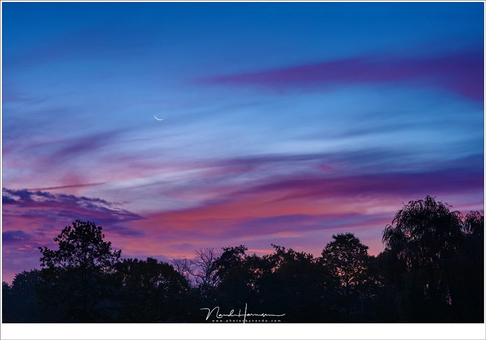 Morning twilight with a red sky and nice crescent moon. Just the tree tops is enough for this picture. No houses, no lampposts... (Canon EOS R + 85mm | ISO2000 | f/4 | 1/30)
