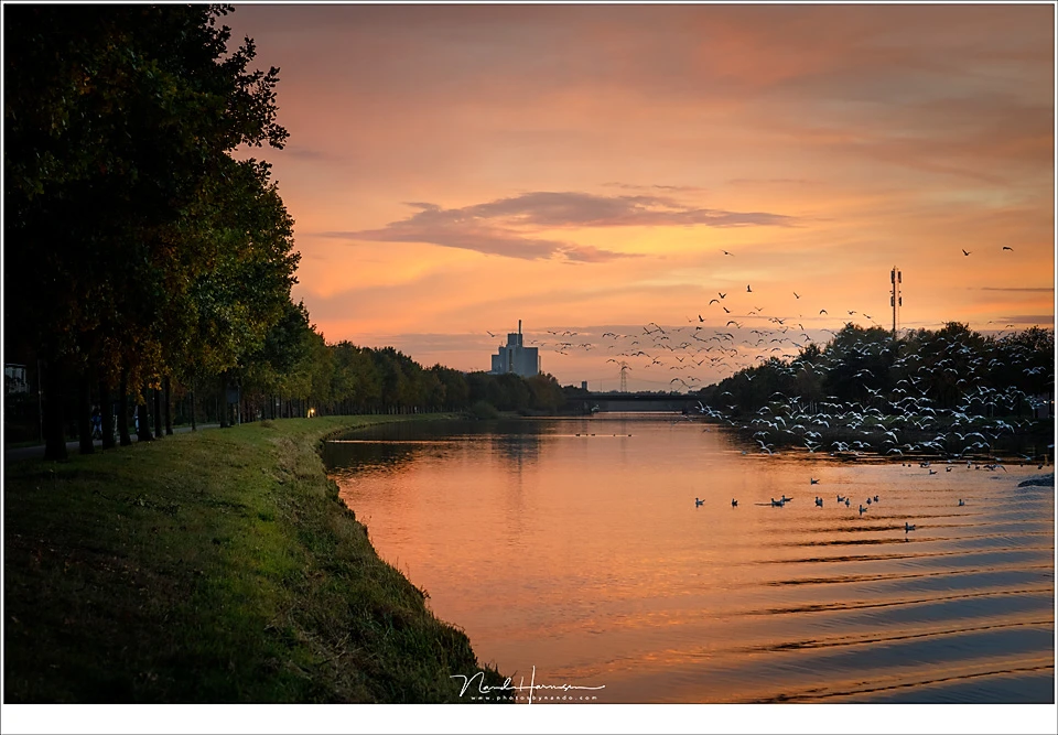 The canal in a beautiful evening twilight. the gulls are a nice touch, I think, flying away from a passing boat. (Canon EOS R + 85mm | ISO1600 | f/5,6 | 1/250)