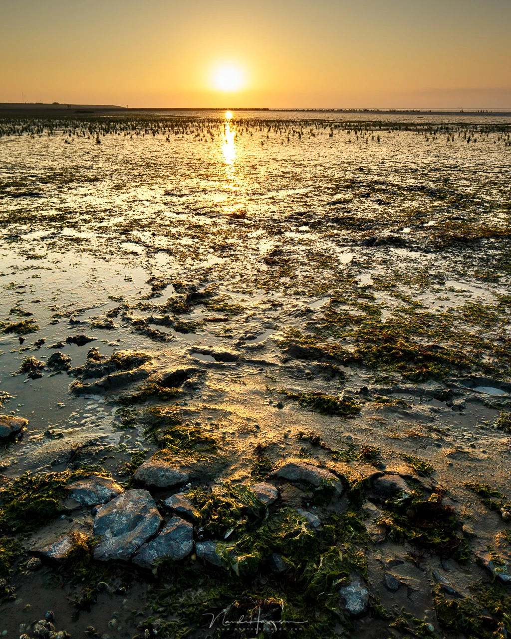 Sunset at the Wadden Sea during low tide. (Canon EOS 1Dx + 24mm | ISO100 | f/11 | 1/60)