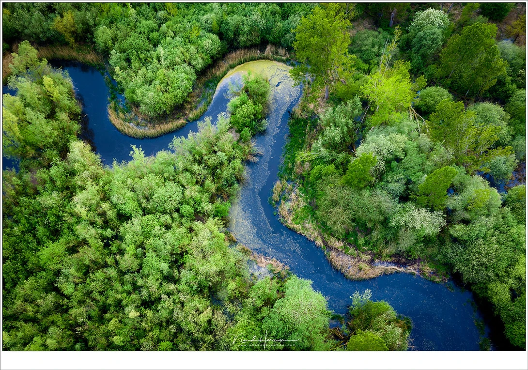 The winding route of small brook. It almost looks like a miniature Amazon river. (DJI MAvic Pro 2 | ISO100 | f/5,6 | 1/5 | stack of 5 images)