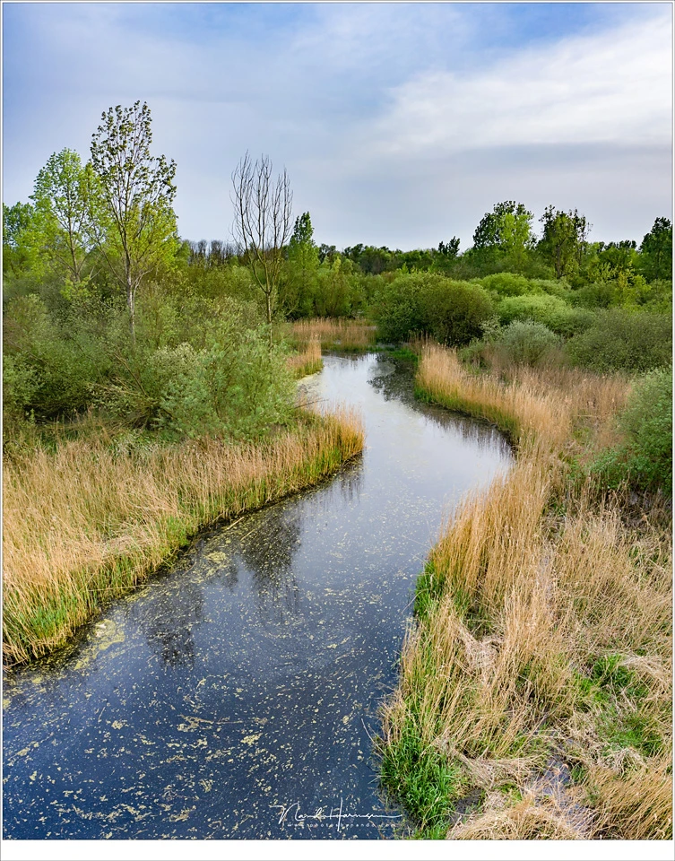 The same brook from the previous image, just from a few meters high. Although it does not look like a drone photo at first sight, this photo is not possible without it. (DJI Mavic Pro 2 | ISO100 | f/5,6 | 1/160 | panorama from 3 shots)