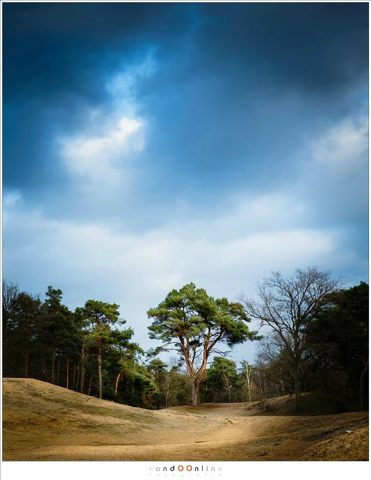 With these clouds amazing light situations can happen. The light captured this tree, but I needed a bit patience, and a bit of luck. I increased the contrast in post processing to my liking (EOS 1Dx + 70mm | ISO100 | f/8 | 1/50)