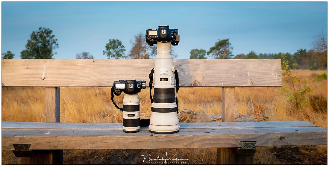 The EF 800mm f/5,6L lens next to the EF70-200mm f/2,8L lens, both without lens hood. It brings things in perspective, doesn't it?