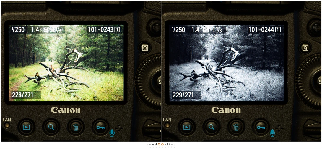 Another example between judging the photo in color or black and white, The preview is limited to the few settings that are available in-camera. With post-processing you can tweak the black and white image a lot more. But this gives a good idea of what to 