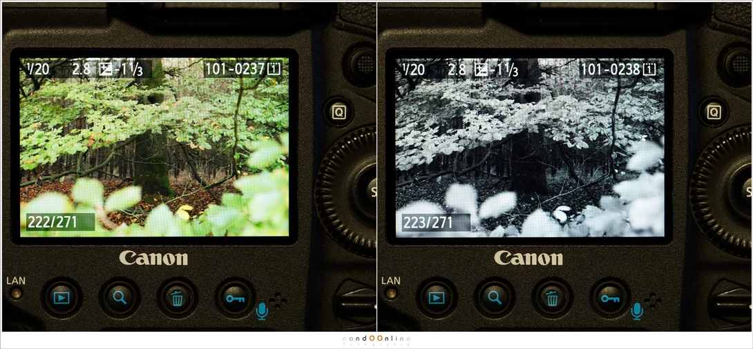You might think a scene will work in black and white when you look at the color preview on the LCD screen of your camera. By looking at the preview in black and white, it is easier to see if the black and white will turn out.
