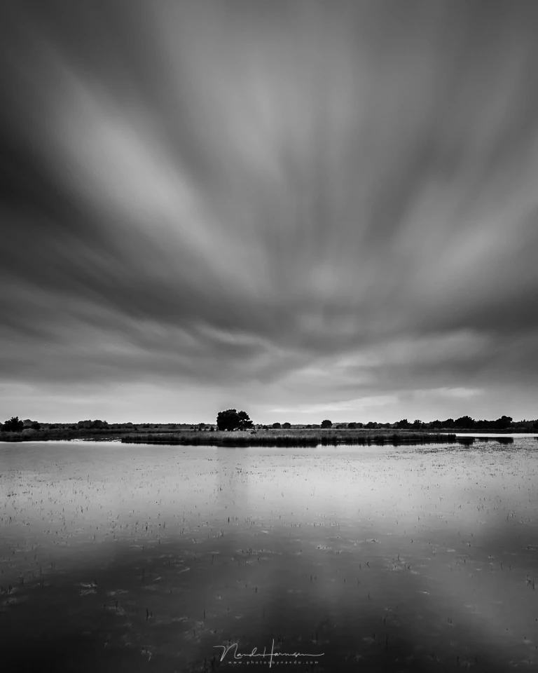 If the photo did not turn out so good, changing it into a monochrome image will not make it better. I am convinced black and white photography is totally different from color photography. Colors can distract and prevent one from thinking in contrasts. (EO