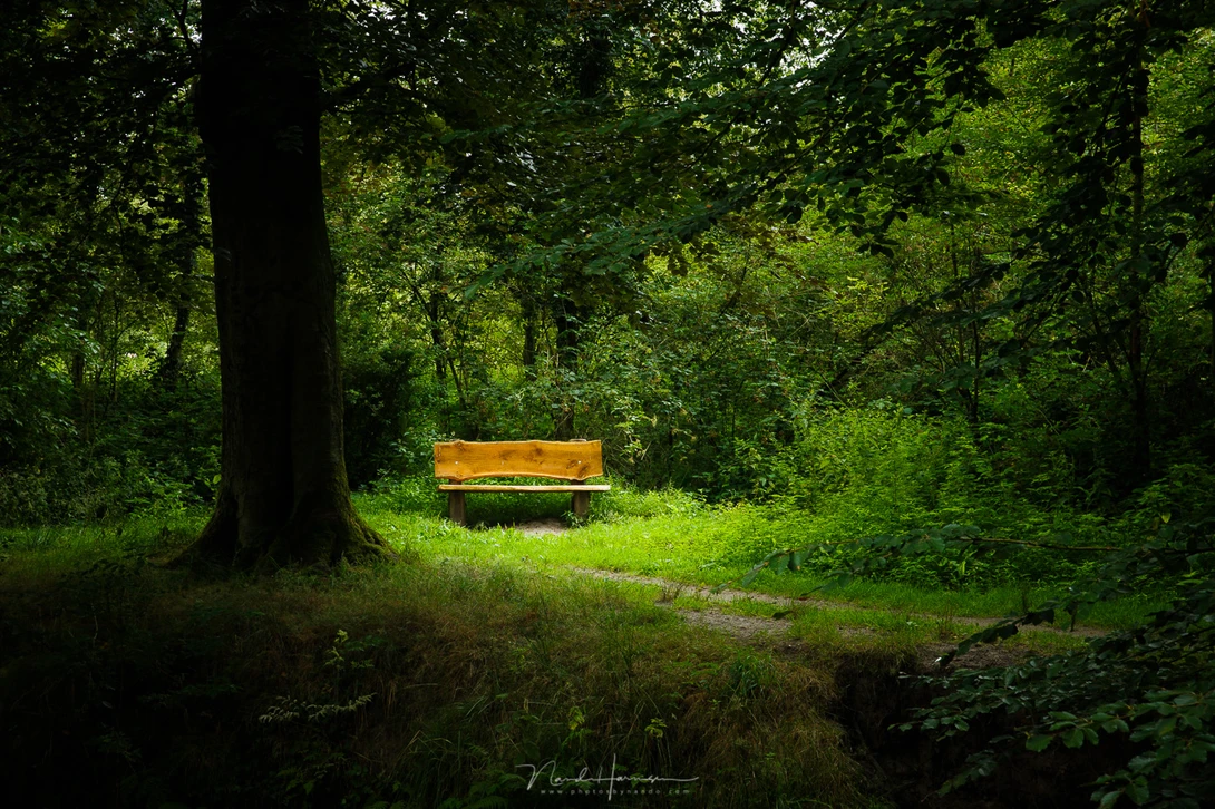 When the photo is changed into a color photo again, you can see how the photo has changed. Now the bench is the thing that gets all the attention. Not only by its color, but it is also brighter than its surroundings. 