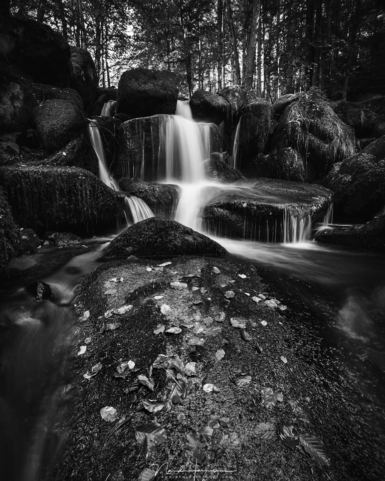 When there is a high contrast, always expose on the brightest part of the image, in this case the waterfall. By exposing as long as possible without blowing out highlights, you maintain the maximum amount of detail in the dark areas of the image. (EOS 5D4