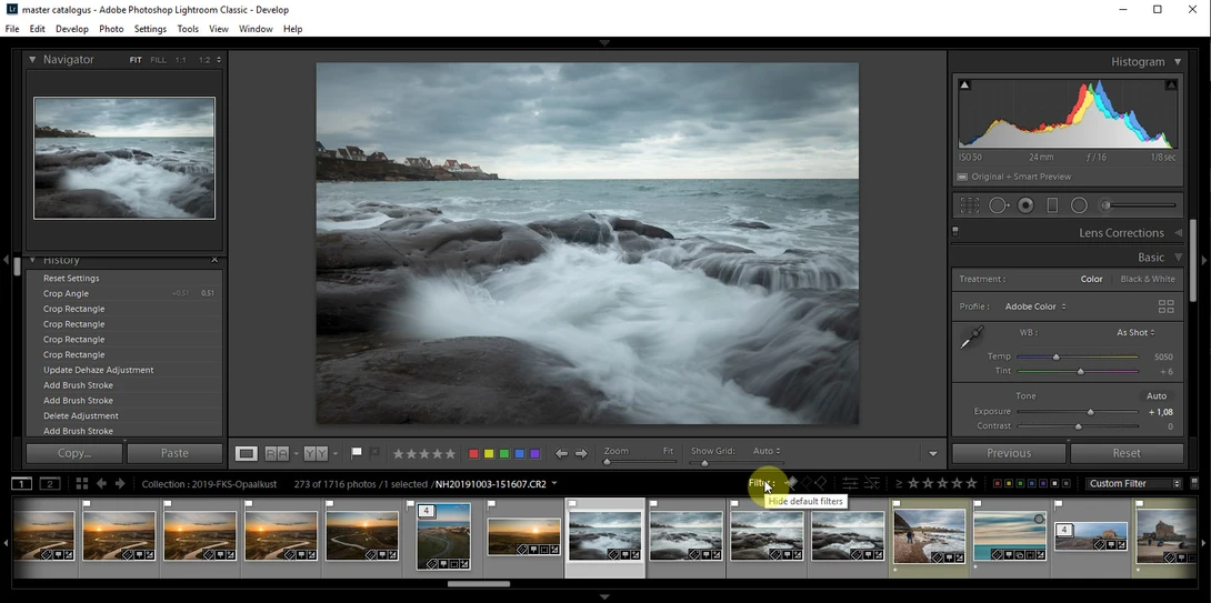 By double clicking on the work "filters" the different filter options will be visible. This way it is very easy to filter the images in your library or collection.