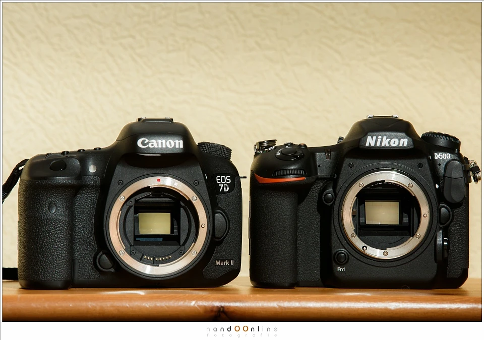 The APS-C sensor is often used in the professional DSLR cameras like this Nikon D500 and Canon EOS 7D mark II. The smaller sensor provides an extra magnification when using lenses, which comes in hany with longer focal lengths. using a large depth of fiel