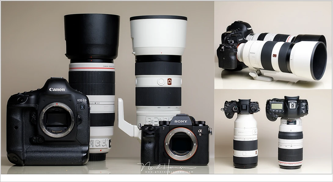 Full frame sensors in professional cameras. Although we see a difference in camera size, full frame sensor often will aquire large and heavy lenses. At least, compared to the cameras with smaller sensors. 