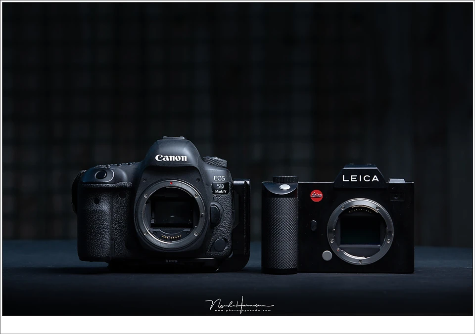 Full frame sensors are considered the standard. Cameras containing these sensors are often called professional cameras.