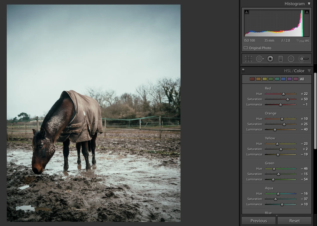 Lightroom, Jamie Windsor Kodachrome presets