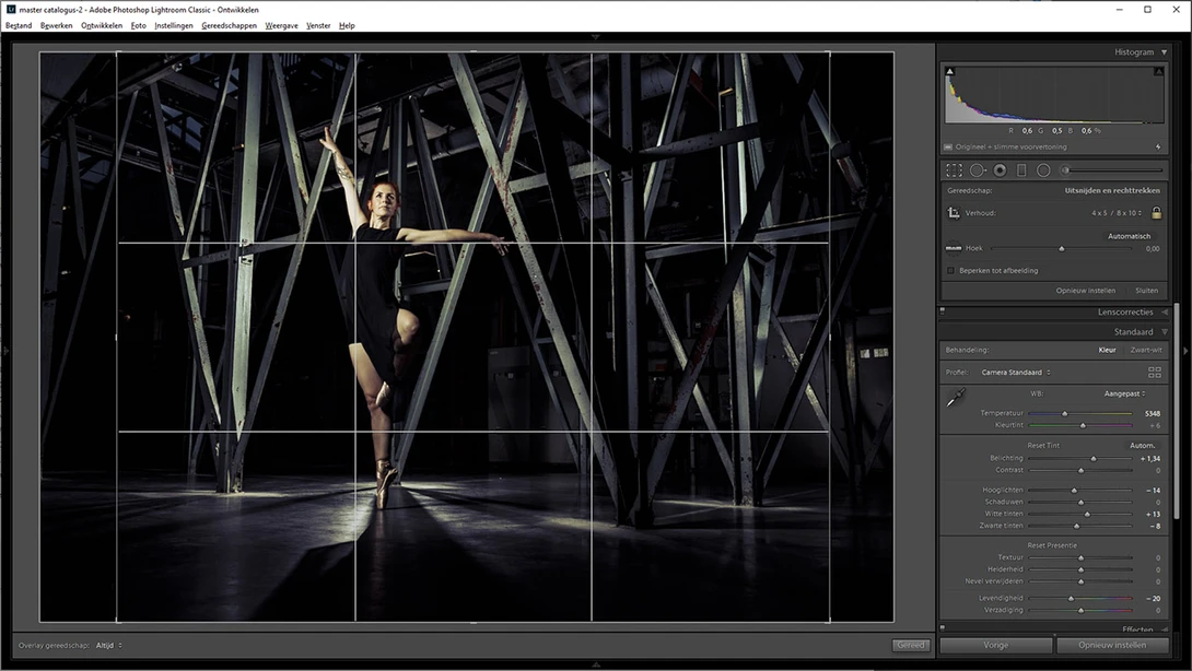 By choosing the crop tool in Lightroom, you have the ability to show different grids. Switch with the letter 'o' and 'shift-o'. In this example we see the rule of thirds.