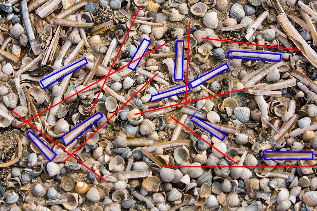 When there are no clear lines in the image, and the elements are distributed in a chaotic way, it is called a movement composition. 