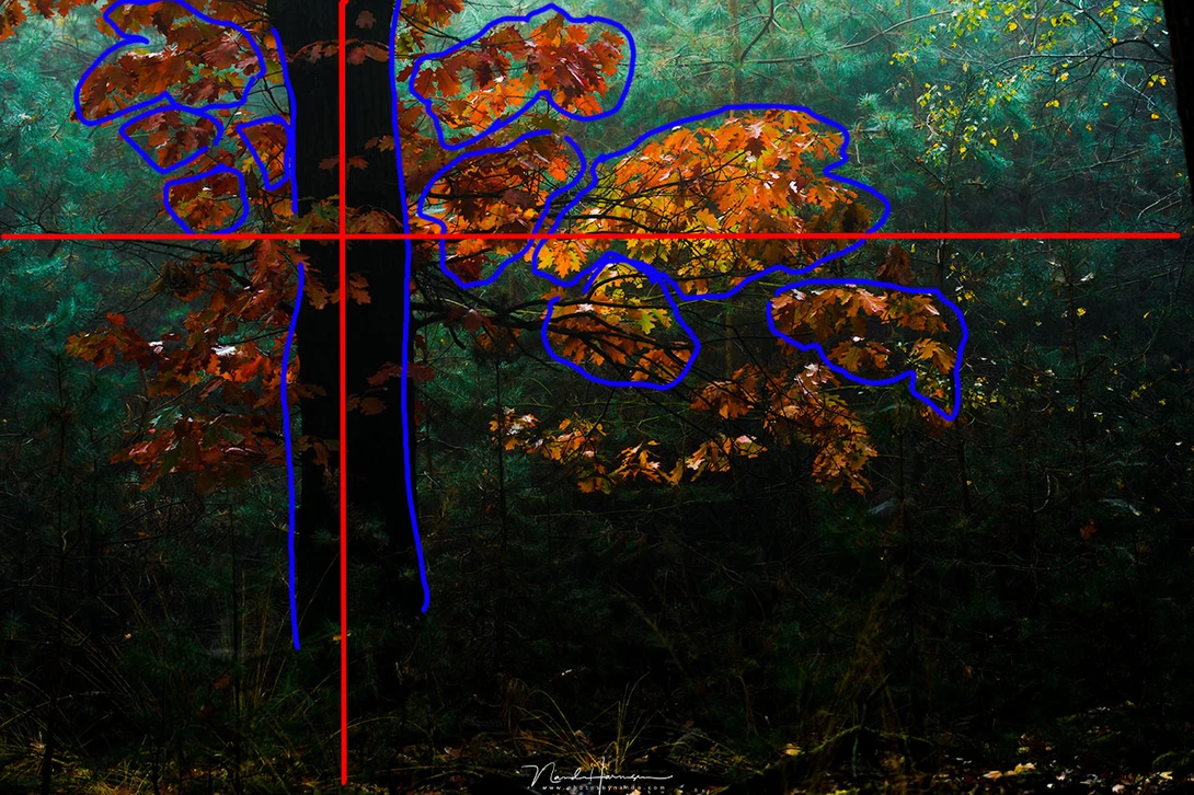A L-composition is perhaps the most common one, where the elements of the image are located next to the two axis. These are often arranged according to the golden ratio.