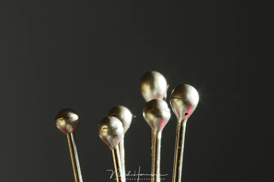 Shot with a Canon EF 100mm f/2,8 lens with a 25mm extension tube. The magnification is 1.39x