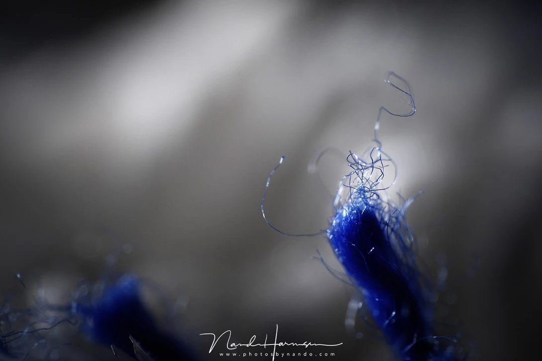 The end of a thread of wool (EOS 1Dmk3 + EF17-40mm reversed at 17mm | f/8 | ISO100 | 4s)