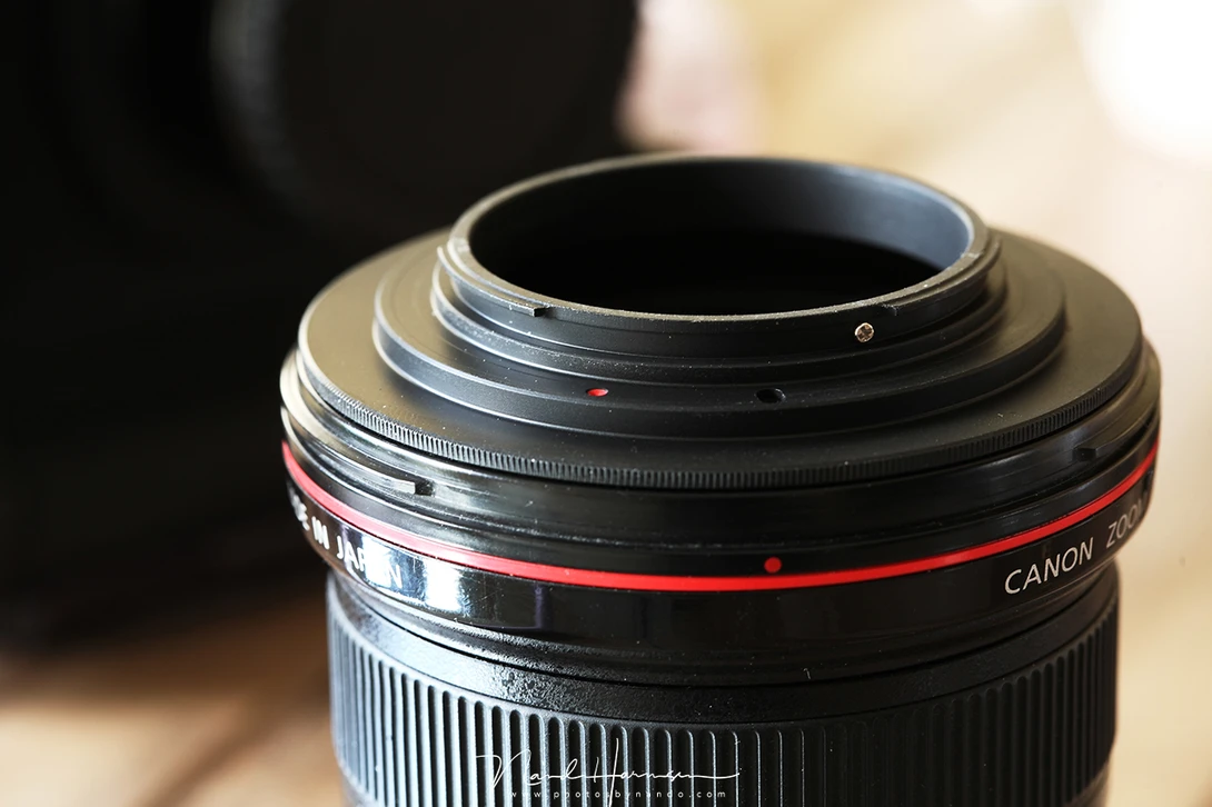 A reverse ring fitted onto a Canon EF17-40mm f/4L lens.