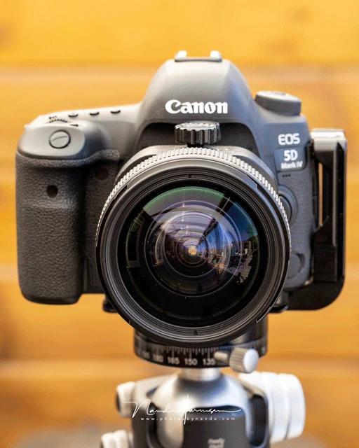 Without the TSE adapter you will move the image circle when shifting the lens.