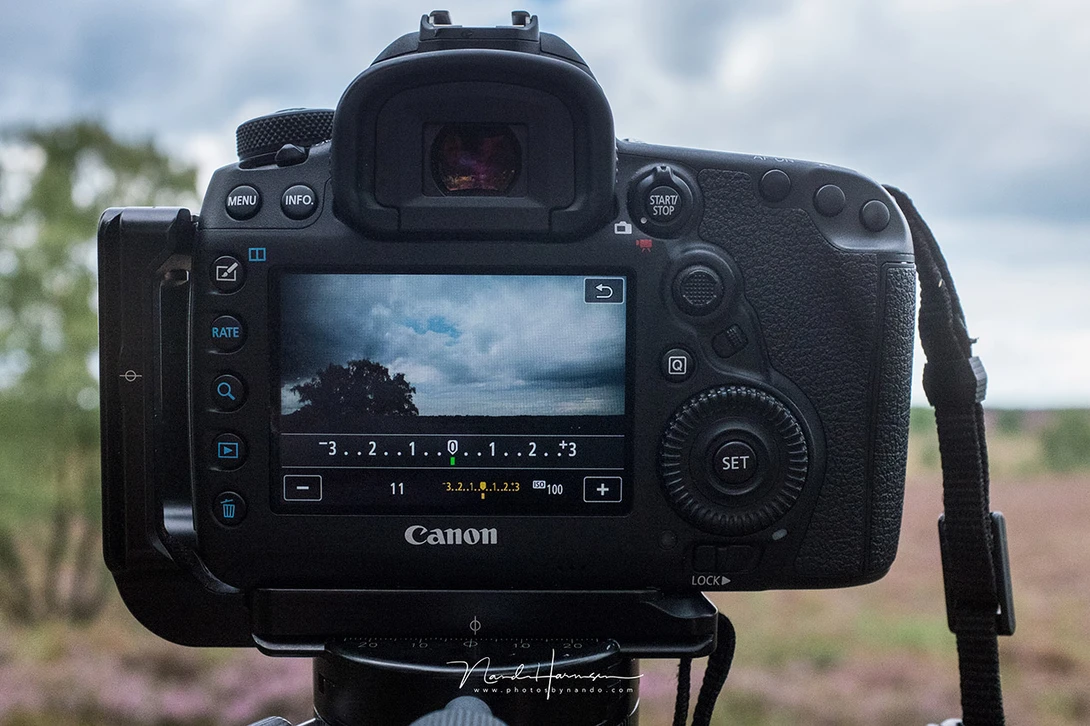 When you learn how a metering mode react under certain situations, you can anticipate with the exposure compensation if you work in aperture priority of shutter speed priority