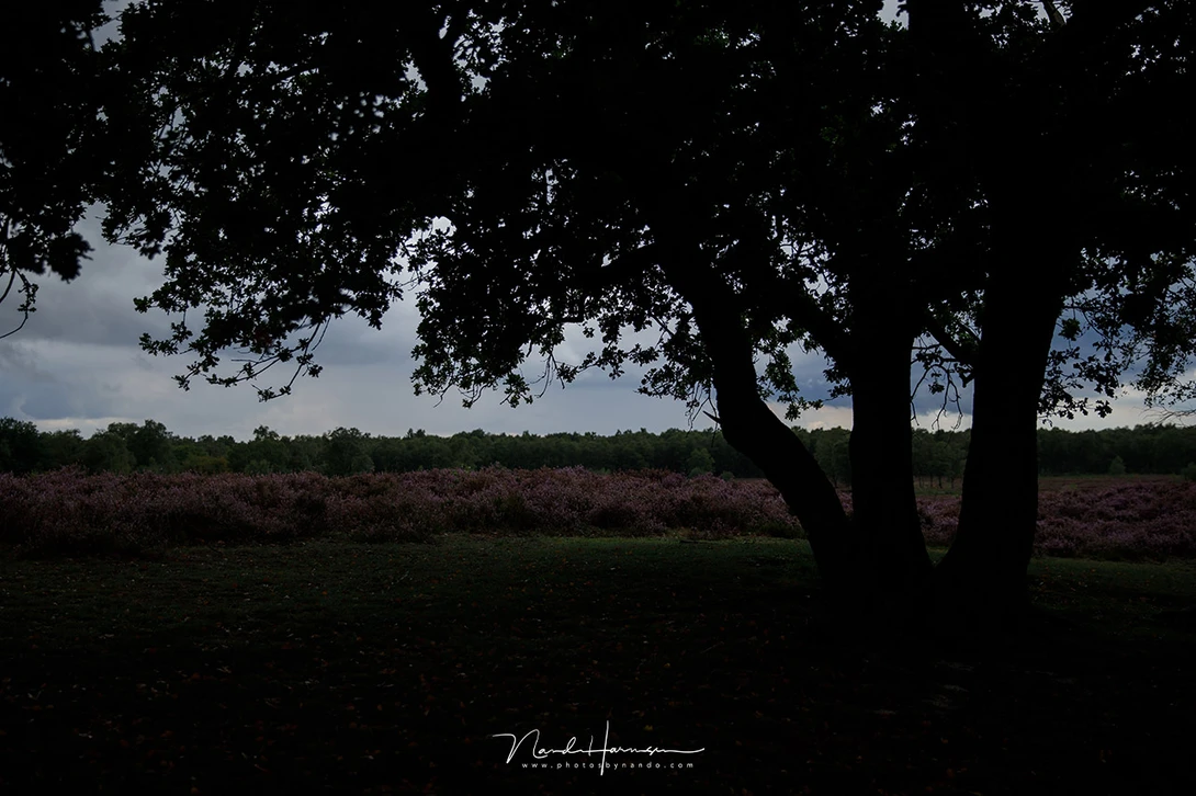 This is the result of partial metering. It is an mainly in the center of the image, ignoring the surroundings.