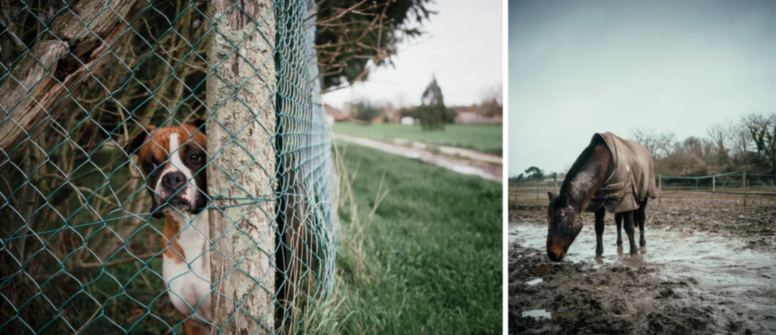 McCurry Kodachrome preset from Jamie Windsor