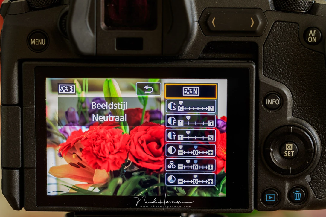 For photography you can make a flat picture profile, based on a build-in neutral one. Just reduce contrast a lot, and saturation a bit. This way you will be able to make a better exposure to the right based on the histogram.