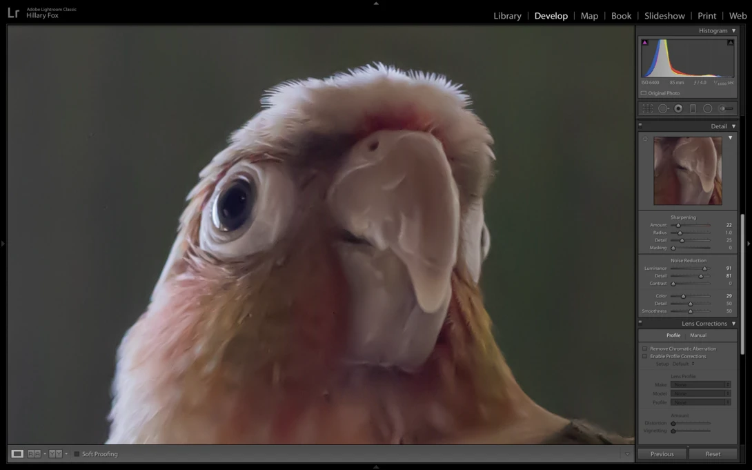 Adobe Lightroom Interface