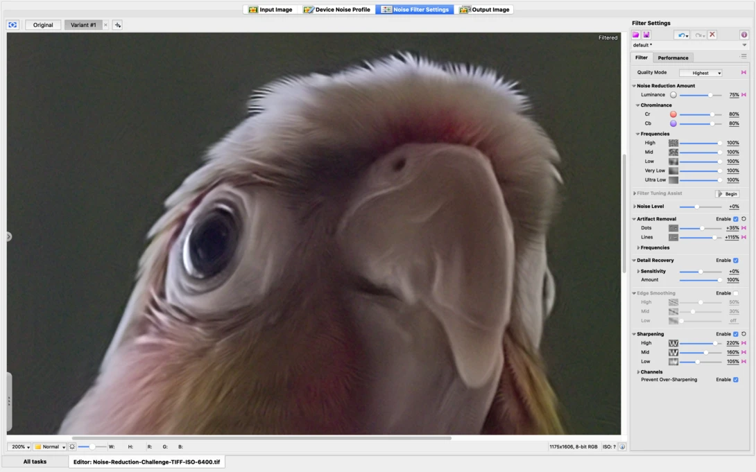 Neat Image Interface