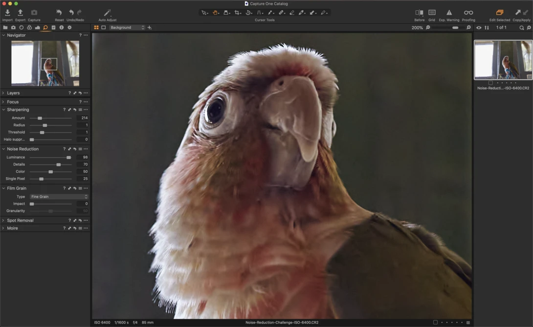 Capture One Interface