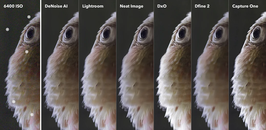 Final Image Noise Reduction Software Comparison