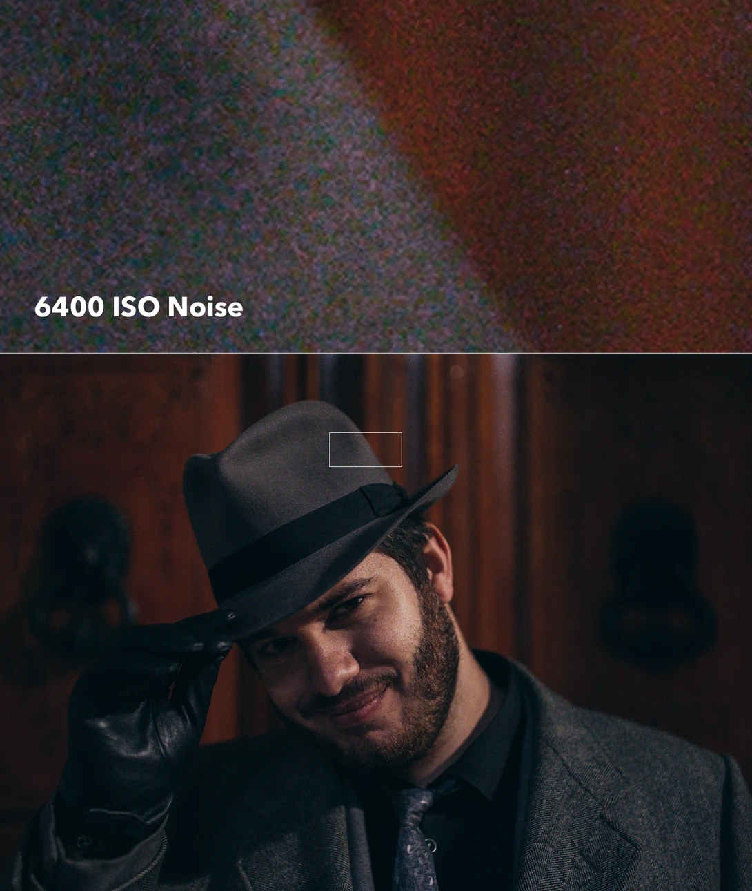 This is what image noise looks like at 6400 ISO