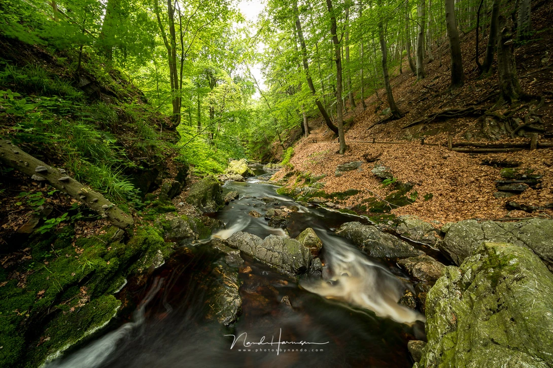 I used the Haida M10 Insert Variable ND filter in the Laowa dedicated filter holder, to remove glare in this scenery. (Canon EOS 5D4 + Laowa 12mm - ISO100 - f/11 - 6 sec - Haida VND filter)