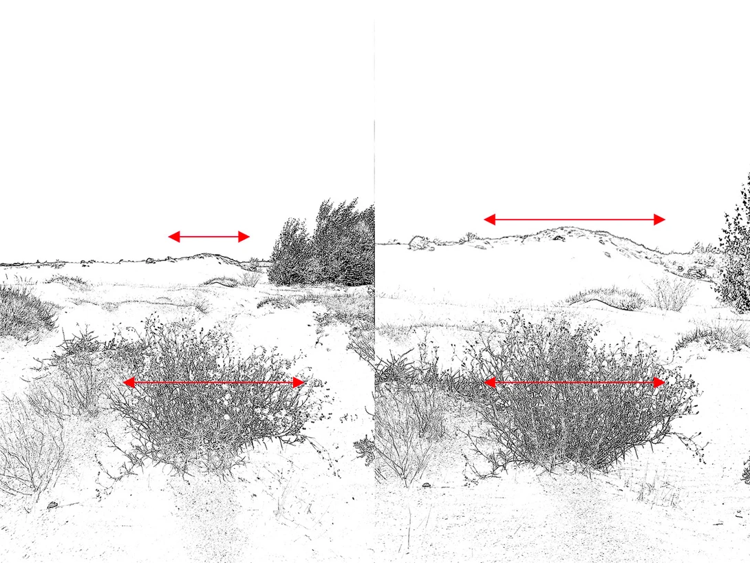This drawing of the images show what difference the change of focal length, and distance to the subject make.