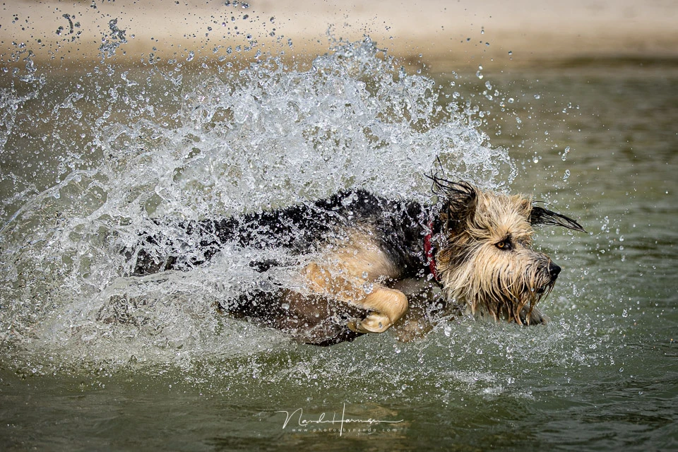 With 16 frames per second it is possible to capture amazing moments. With the large buffer and writing speeds you can keep on shooting without the risk of a full buffer.