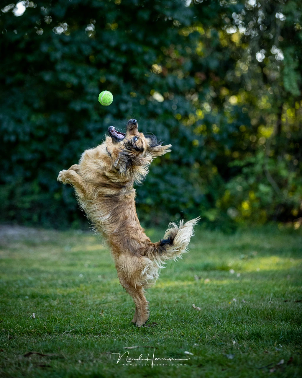 Kay catching a ball. With 16 or 20 frames per seconds it isn't hard to catch the right moment.