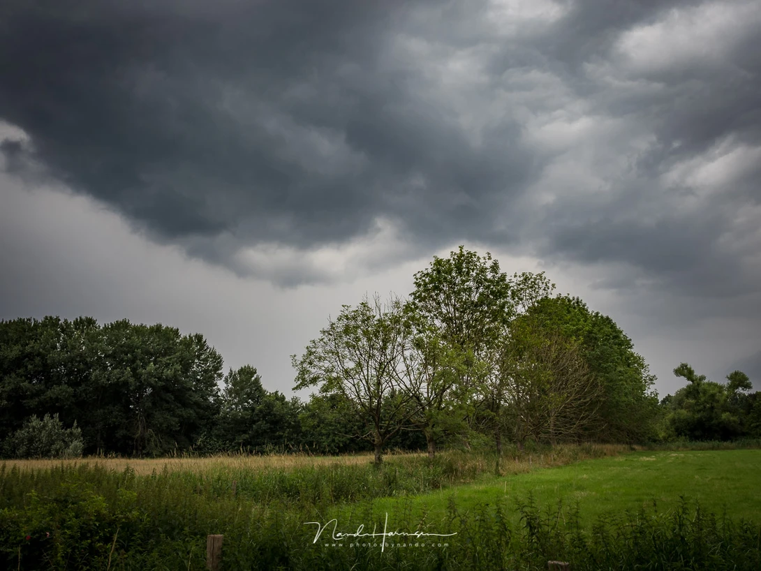 Just before the rain (M.zuiko 17mm, ISO200, f/8, 1/100)