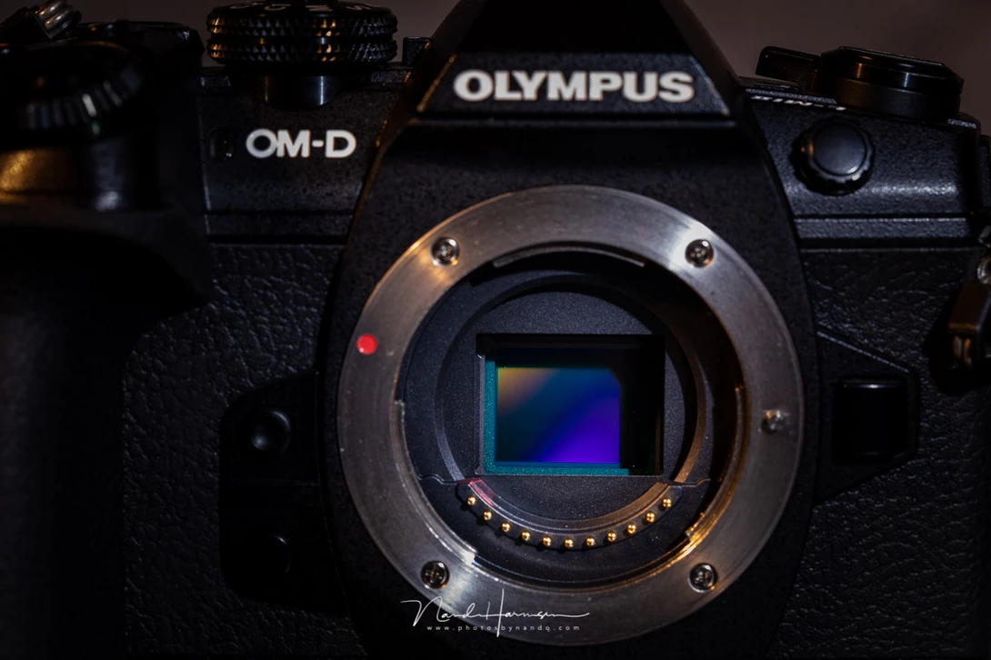 The Olympus has a M43 sensor. Yes, it is small