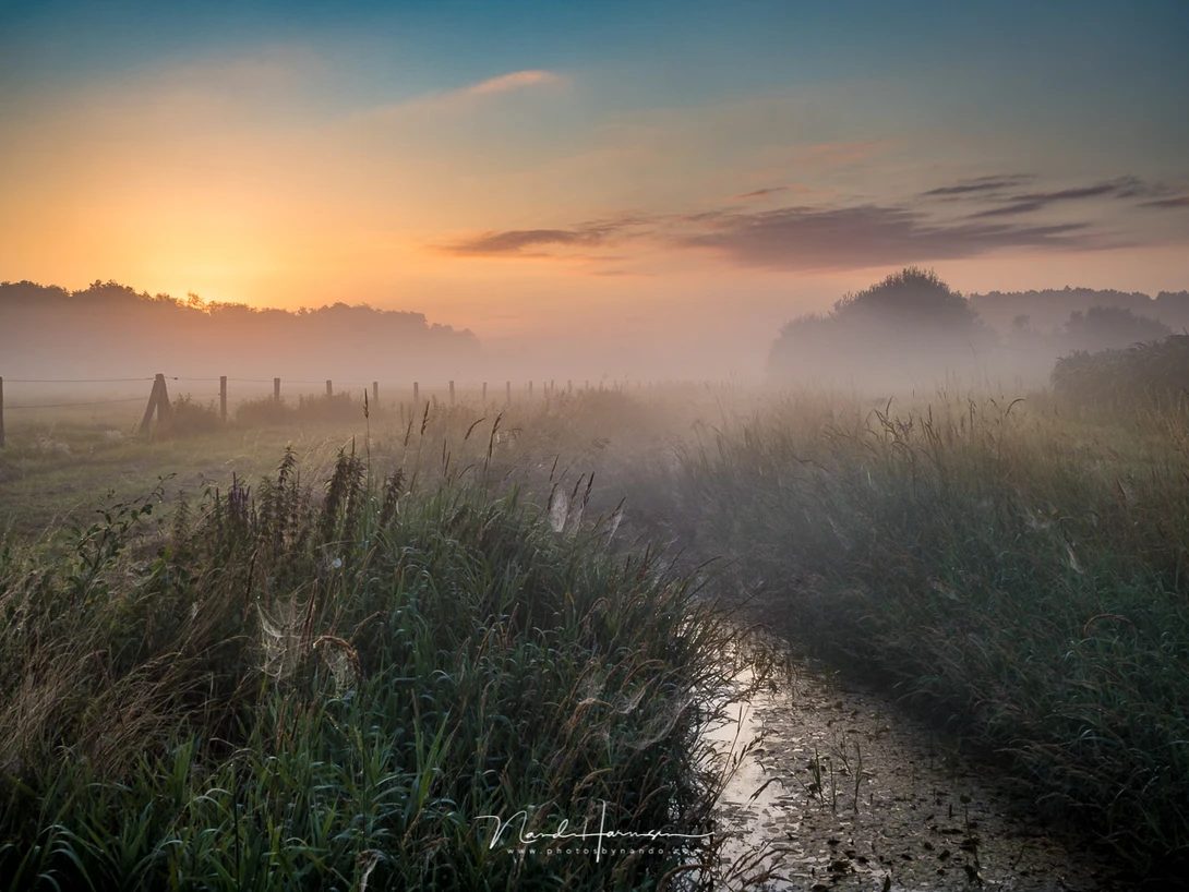 A misty sunrise. Just use filters or bracketing for the exposure and you don't have to worry that much about dynamic range. Nevertheless, this is a single shot, without filters.(M.zuiko 25mm, ISO200, f/8, 1/60)