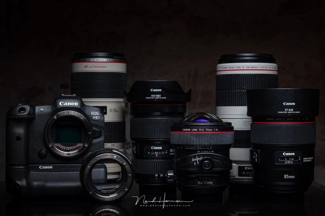 Which do you prefer? A zoom lens or a prime? There is no false answer. It is very personal.