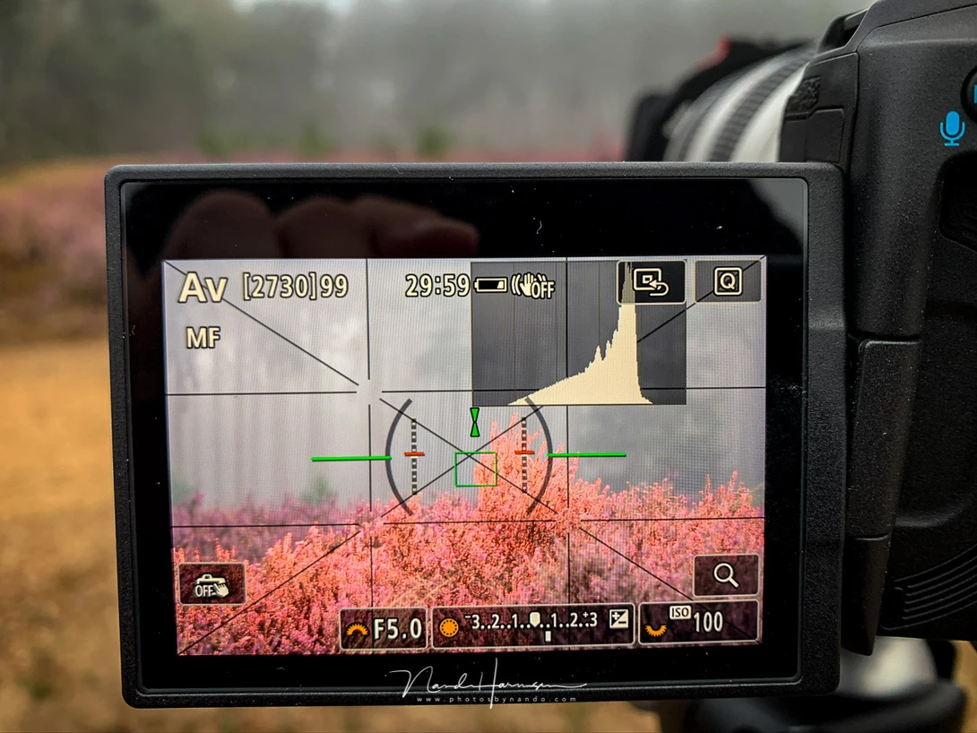 Manual focus and focus peaking. Focus assist is also enabled.