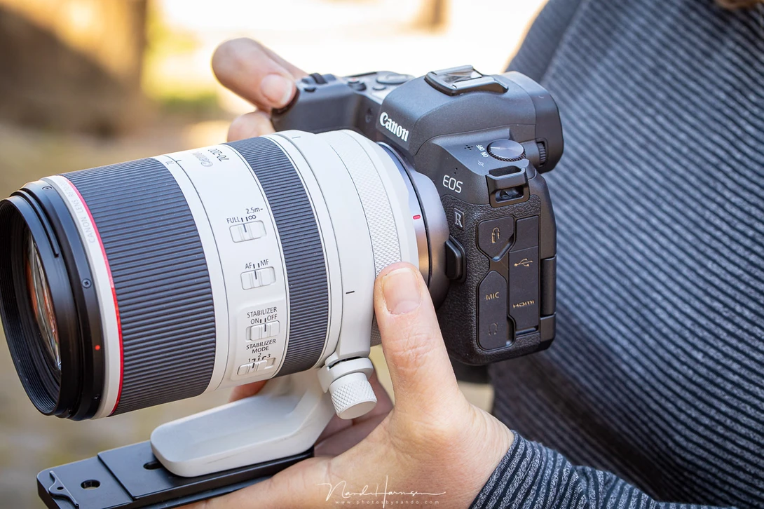 If you are using the control ring, you might find it to be too close to the camera body.