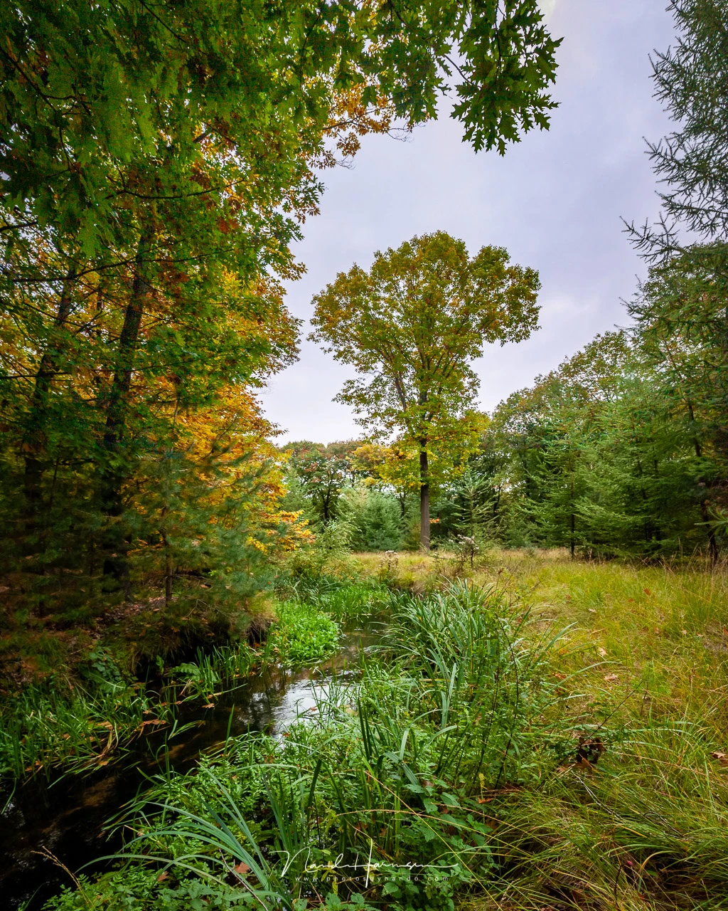 Canon EOS 20D with EFs15-85mm @ 15mm - handheld vertical panorama made from four images - ISO200 - f/8 - 1/25 sec