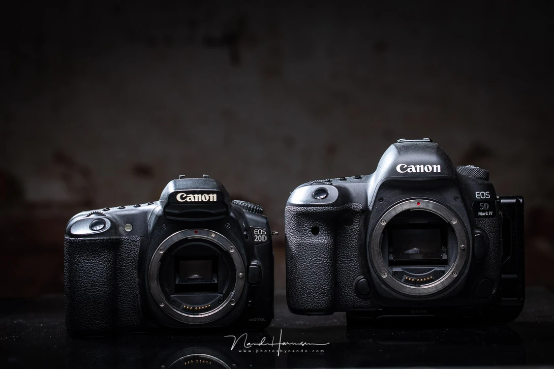 Two completely different cameras. One with a cropsensor, the other with a full frame sensor. And many generations apart. 